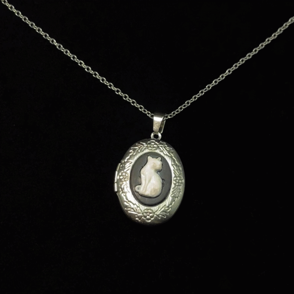 Vintage – Mysterious Cat Box Necklace